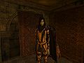 Morrowind 2013-02-24 11-06-50-03.jpg